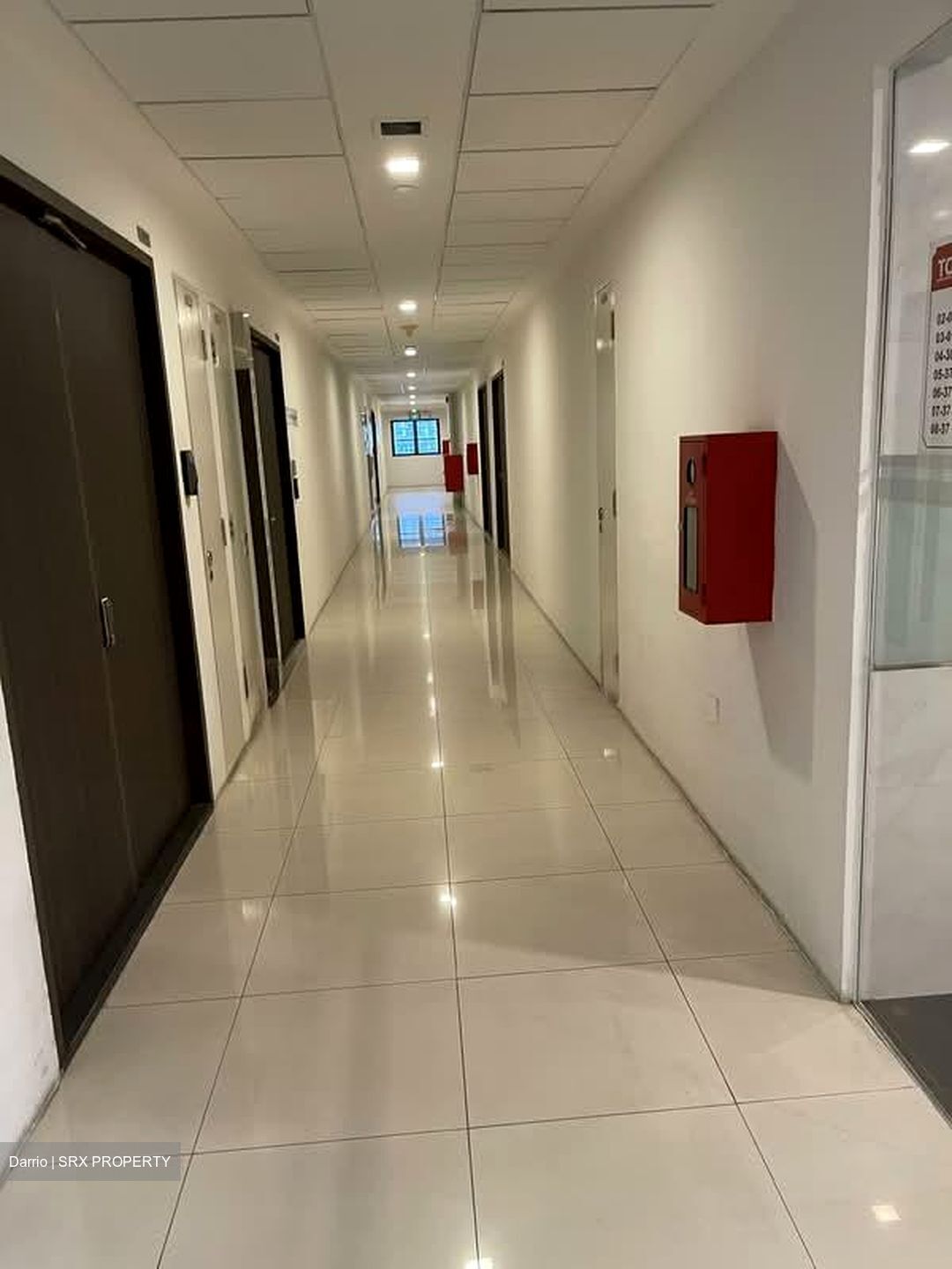 Vertex (D14), Factory #572071661